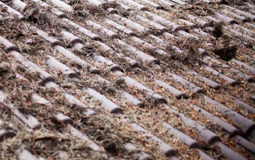 Prabost roof cleaning companies